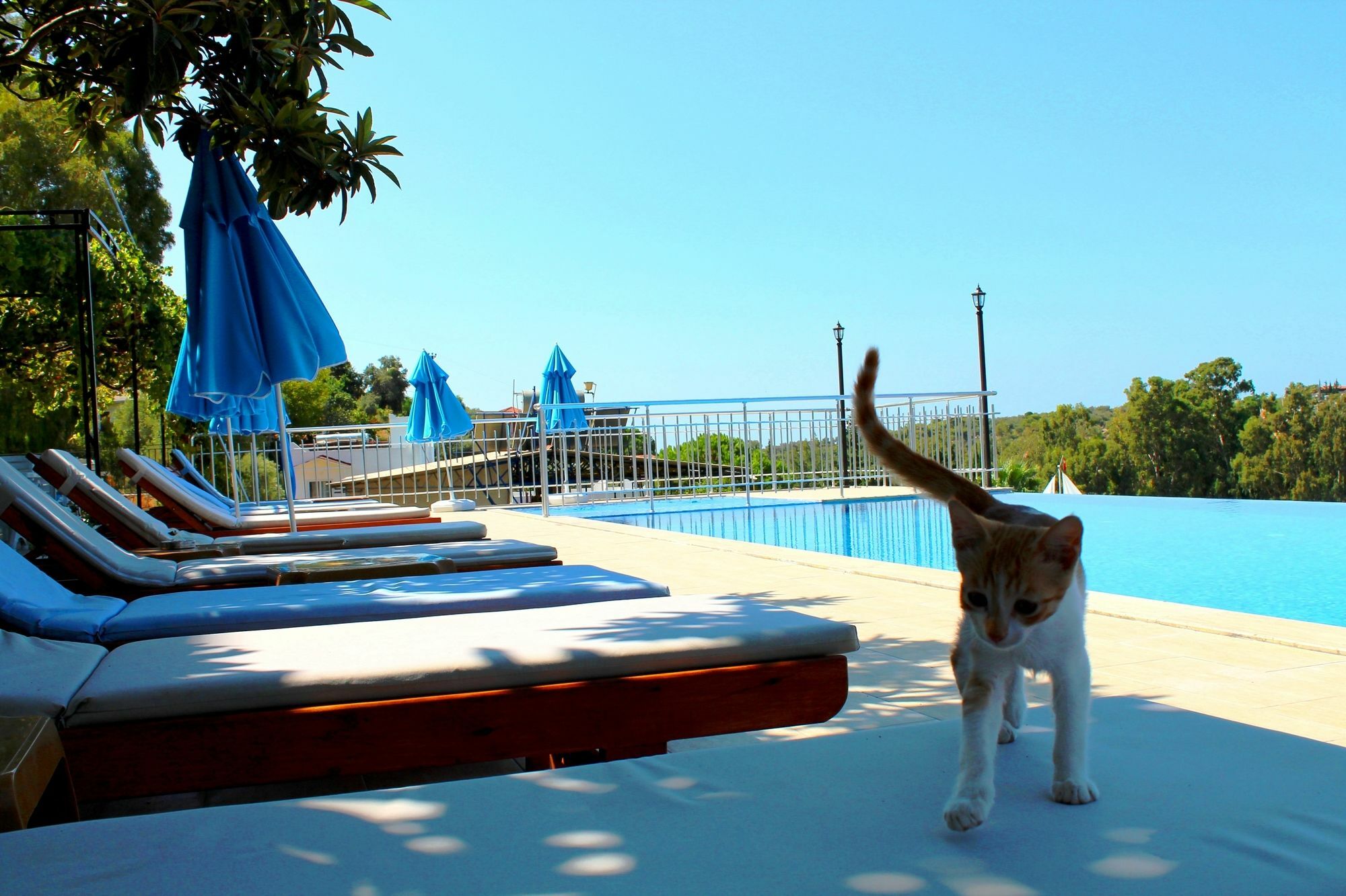 Hotel Patara Sun Club Luaran gambar